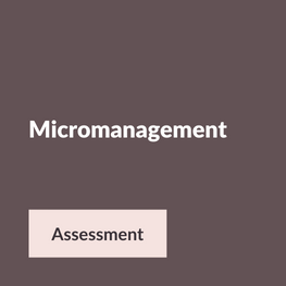 Micromanagement Assessment -Risely