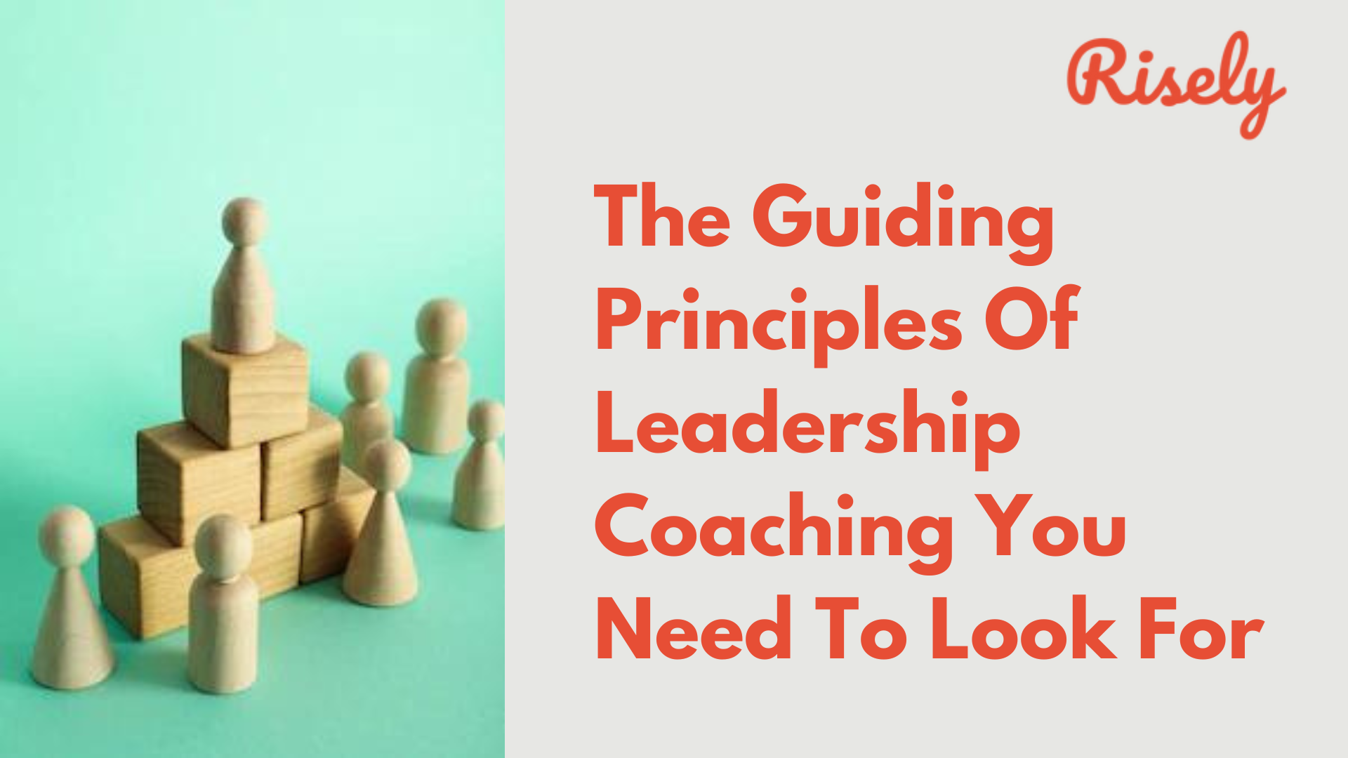 Principles Of Leadership Coaching