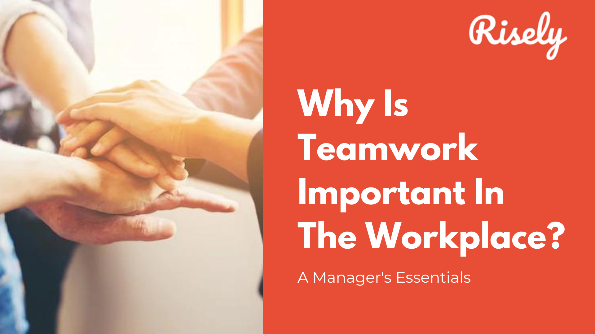 Why Is Teamwork Important In The Workplace? A Manager’s Essentials 