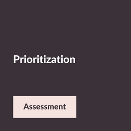 Prioritization Skill Assessment
