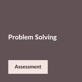 Problem Solving Skill Assessment