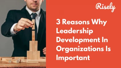 leadership development in organizations