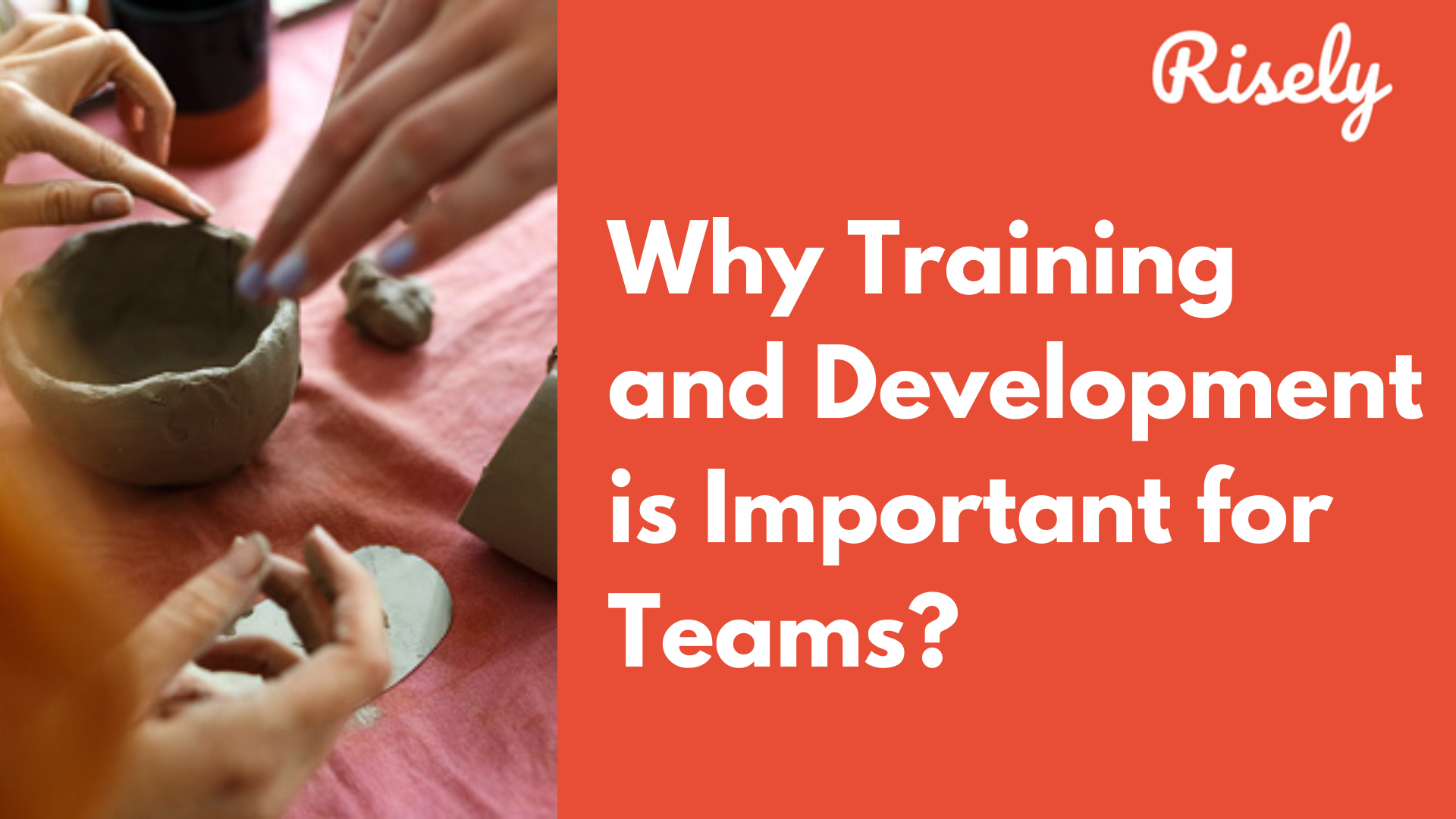 Why Training and Development is Important