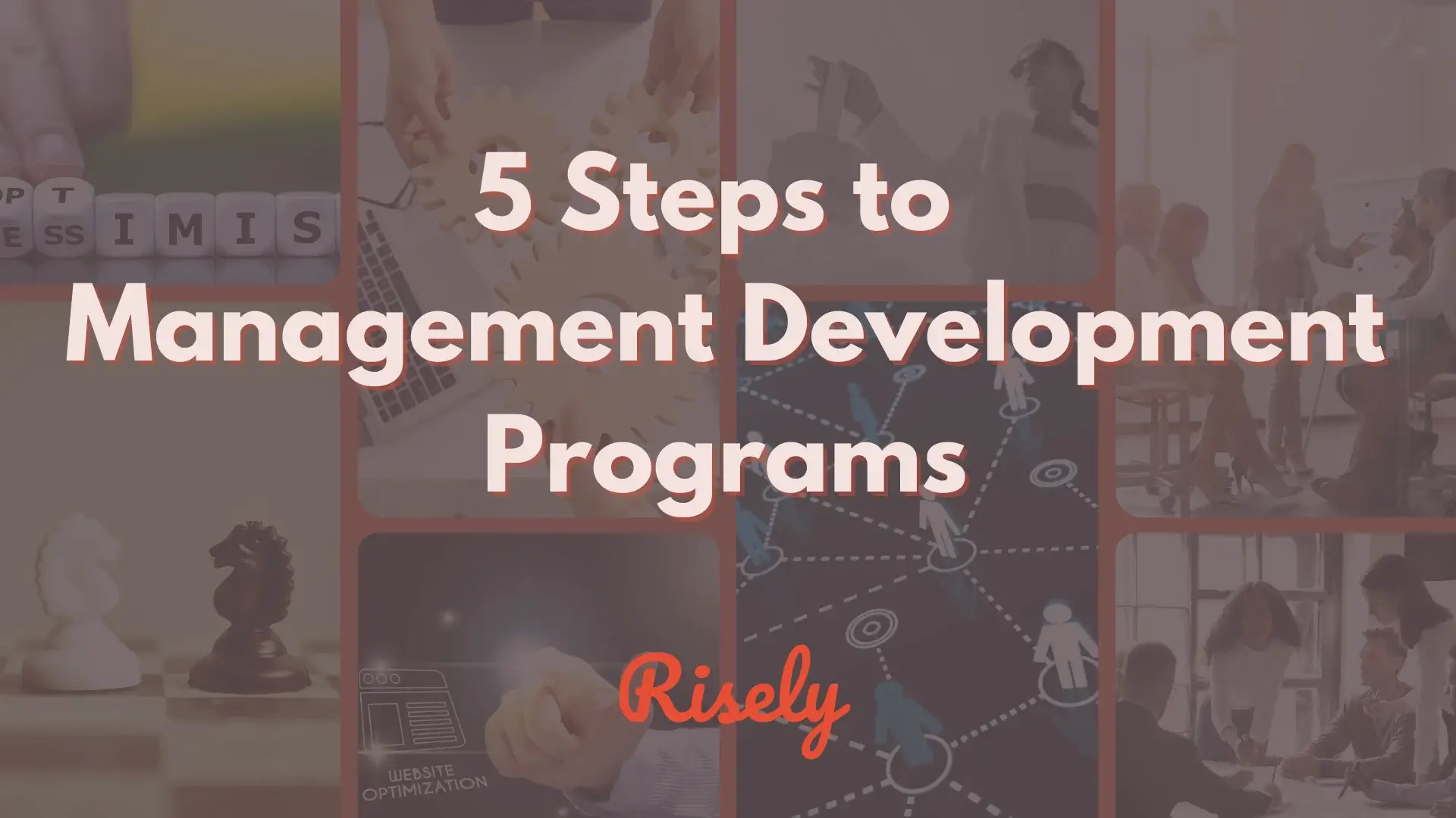 5 Steps to Management Development Programs