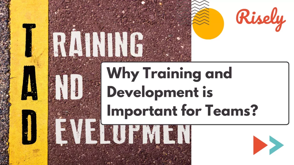 Why Training and Development is Important