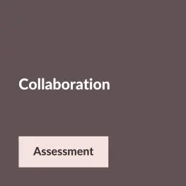 Collaboration assessment