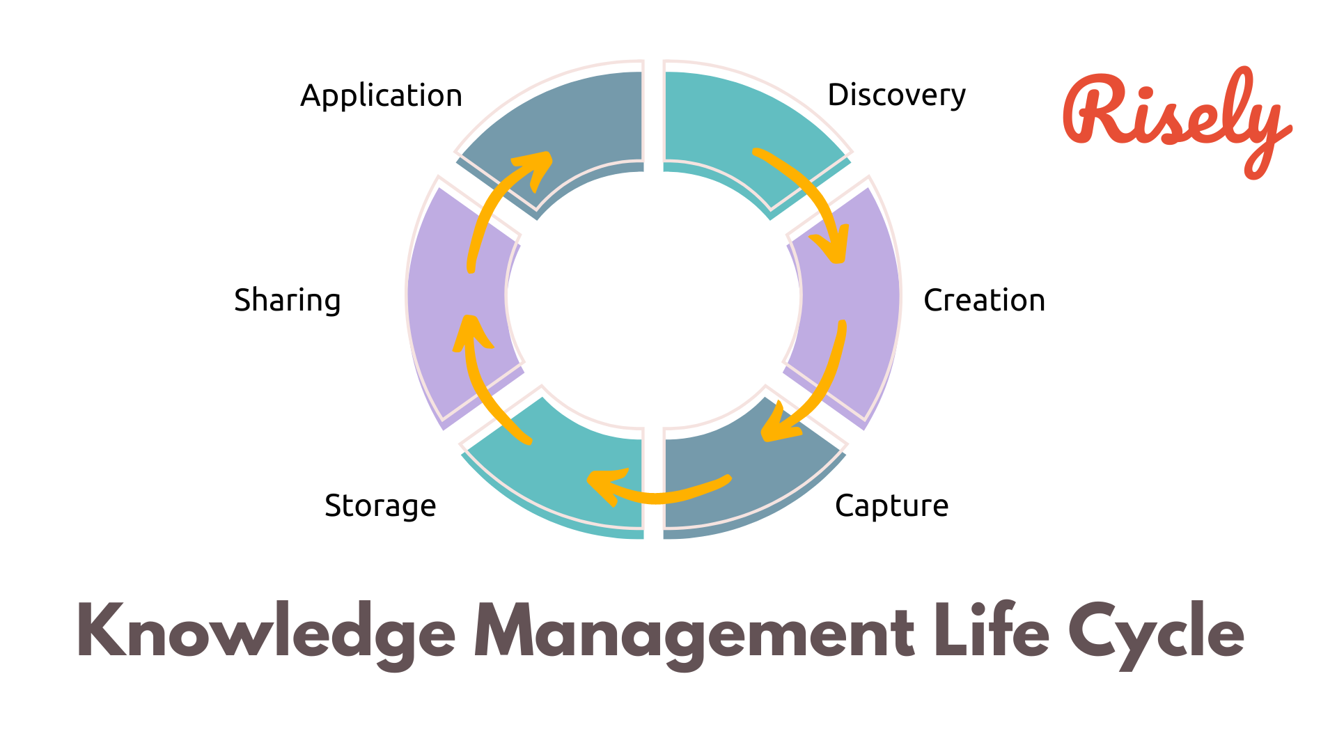 knowledge management life cycle