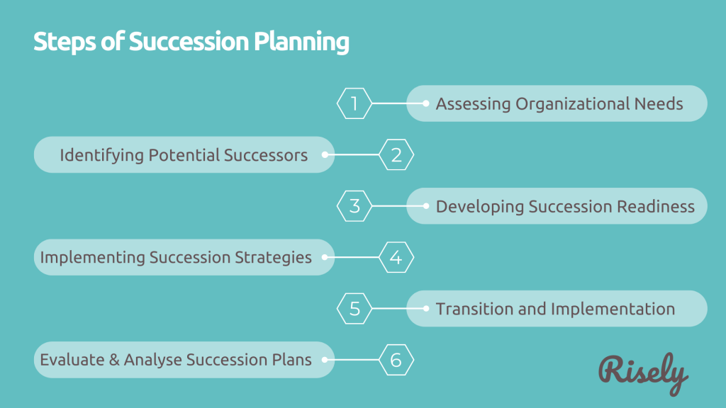 succession planning steps
