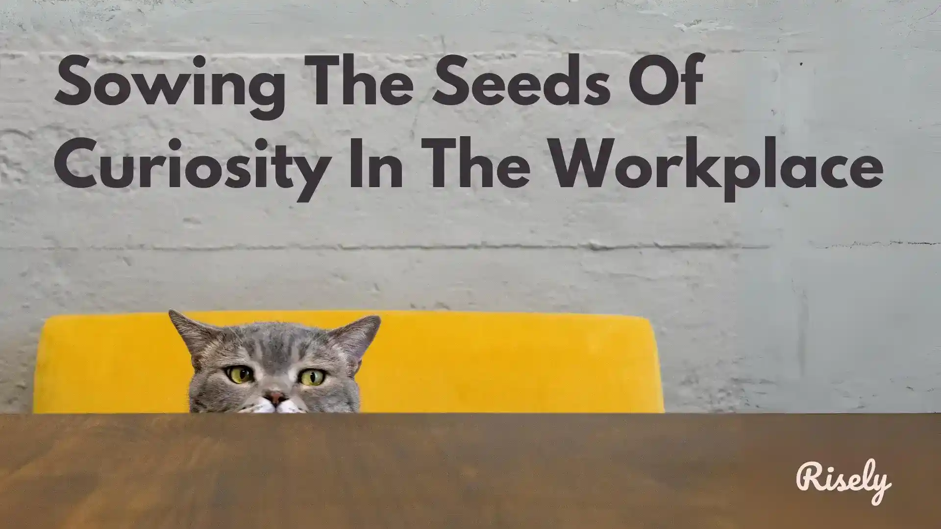 Sowing The Seeds Of Curiosity In The Workplace