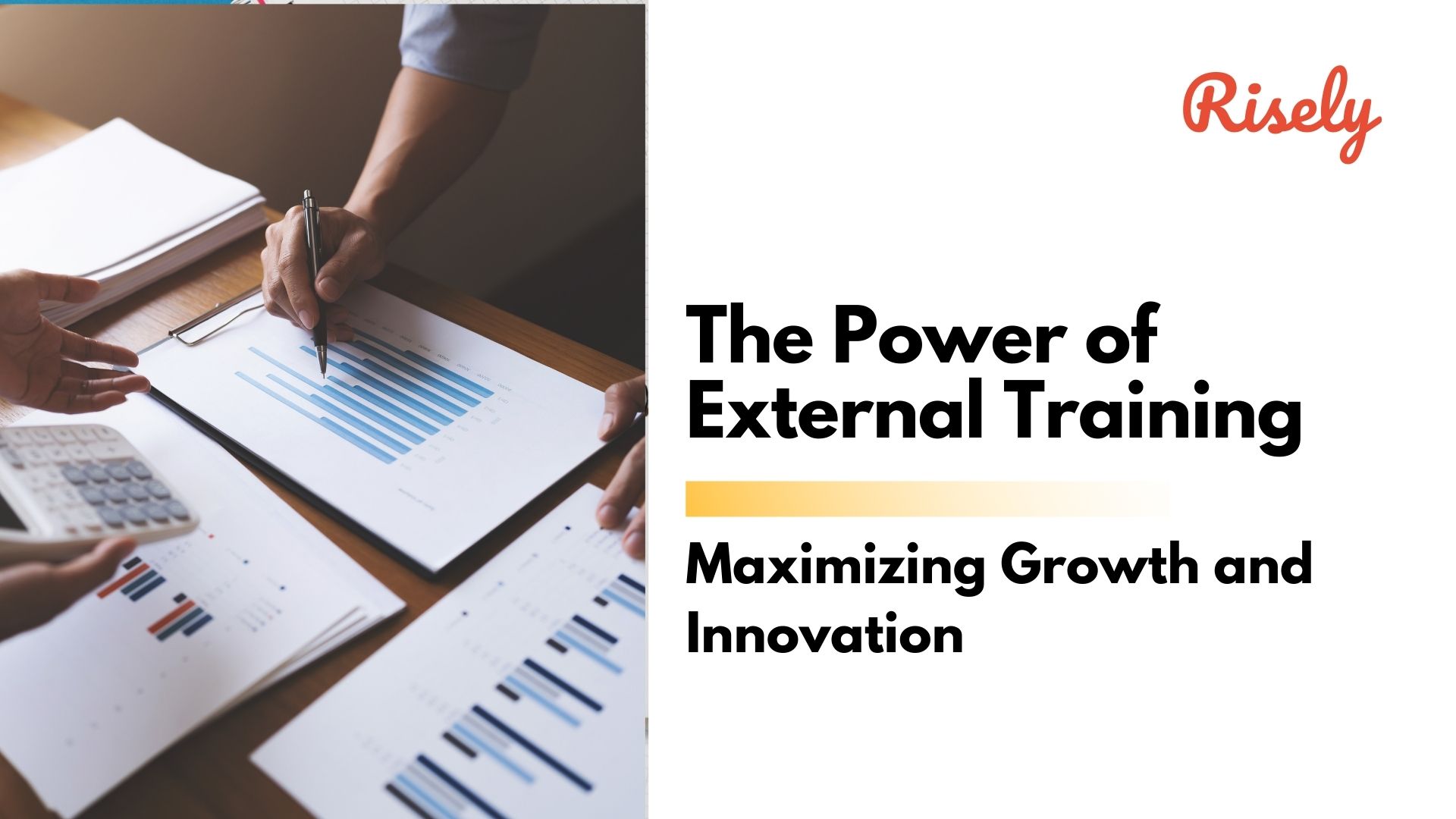 The Power of External Training: Maximizing Growth and Innovation