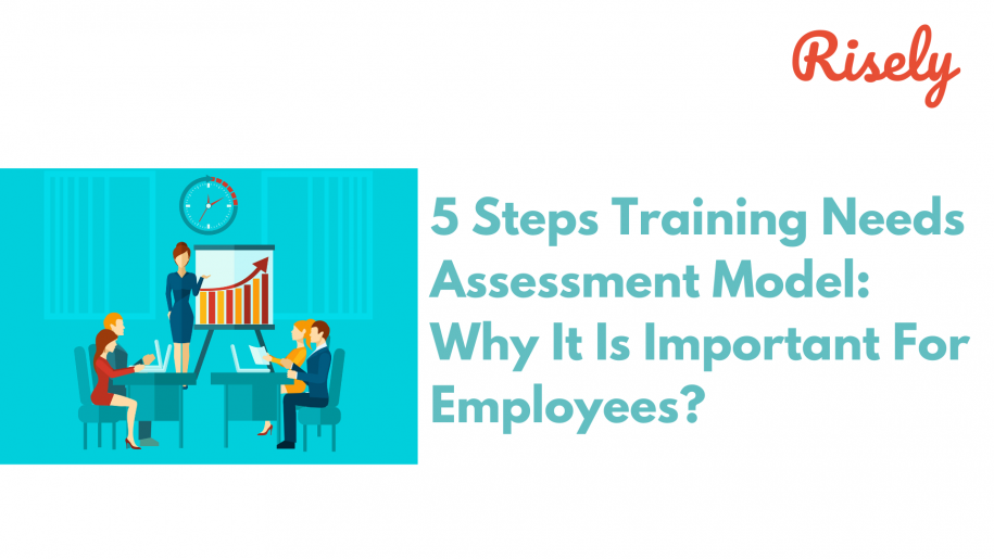 Training needs assessment