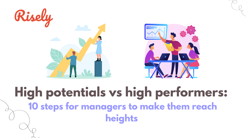 high potentials vs high performers