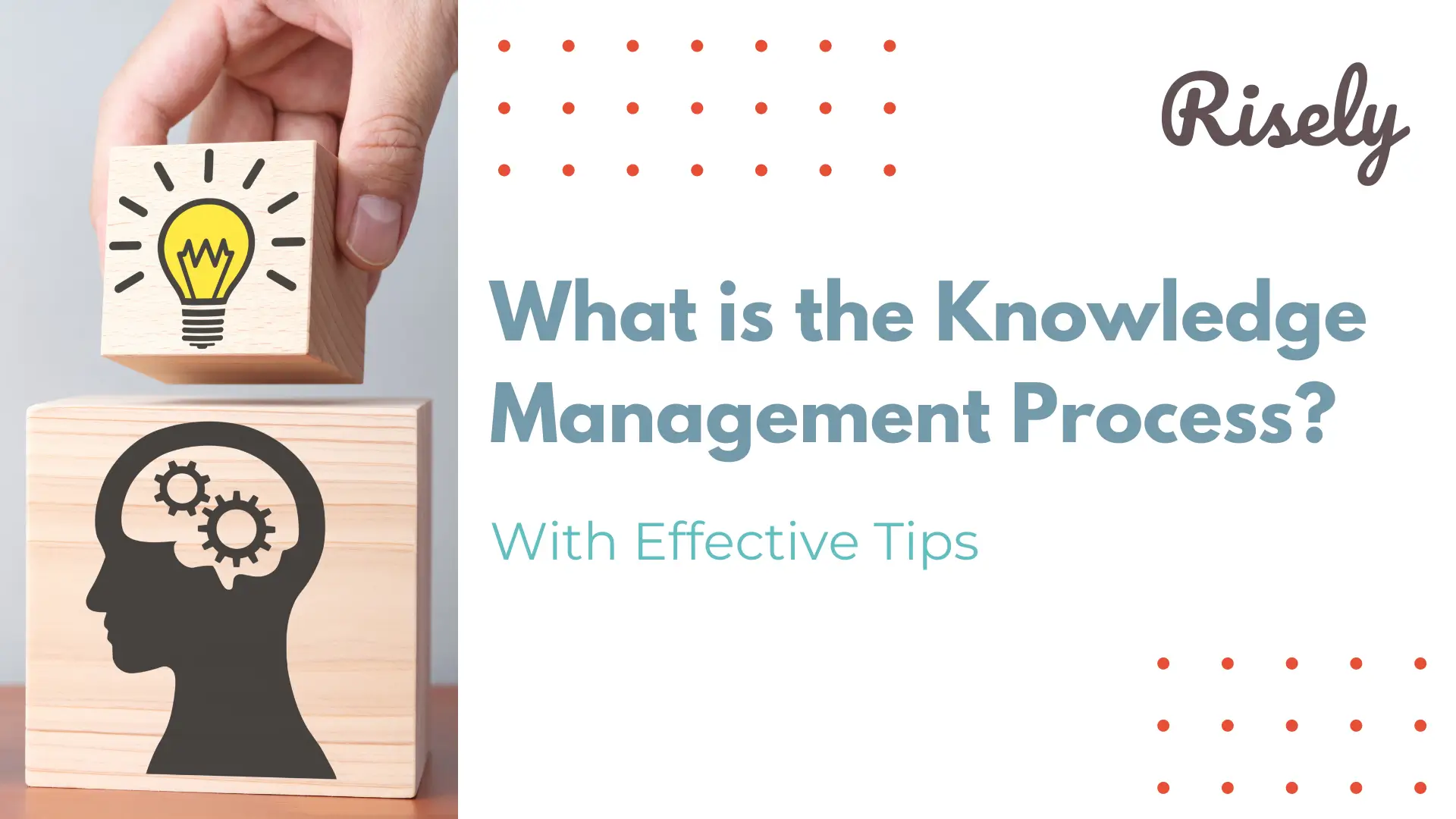 What is the Knowledge Management Process? With Effective Tips