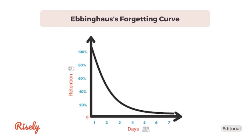 ebbinghaus forgetting curve in leadership training 