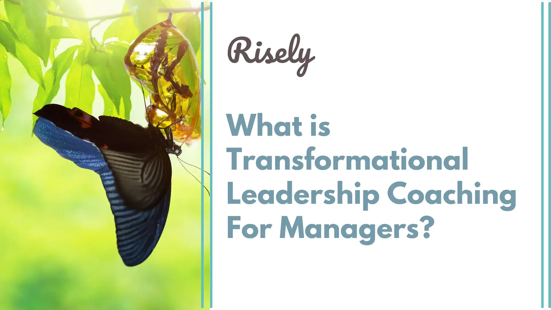 What is Transformational Leadership Coaching For Managers?