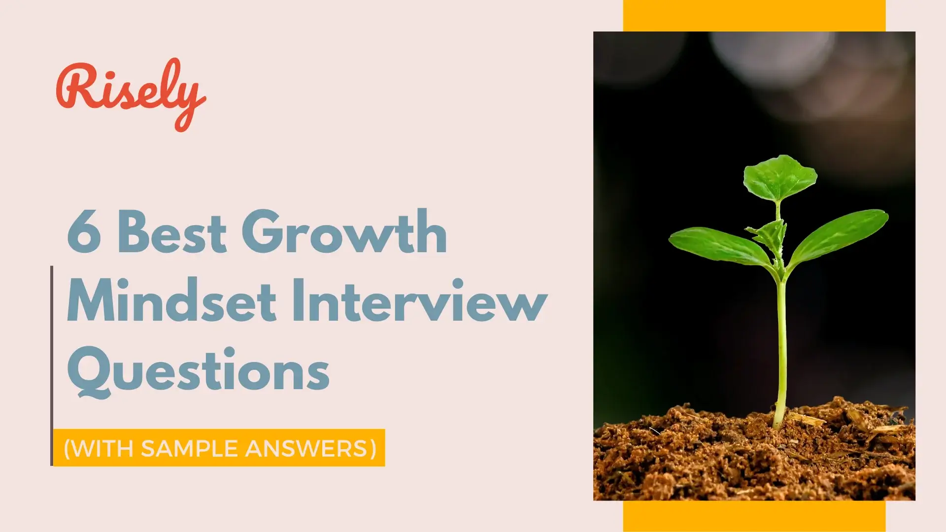 Growth Mindset Interview Questions